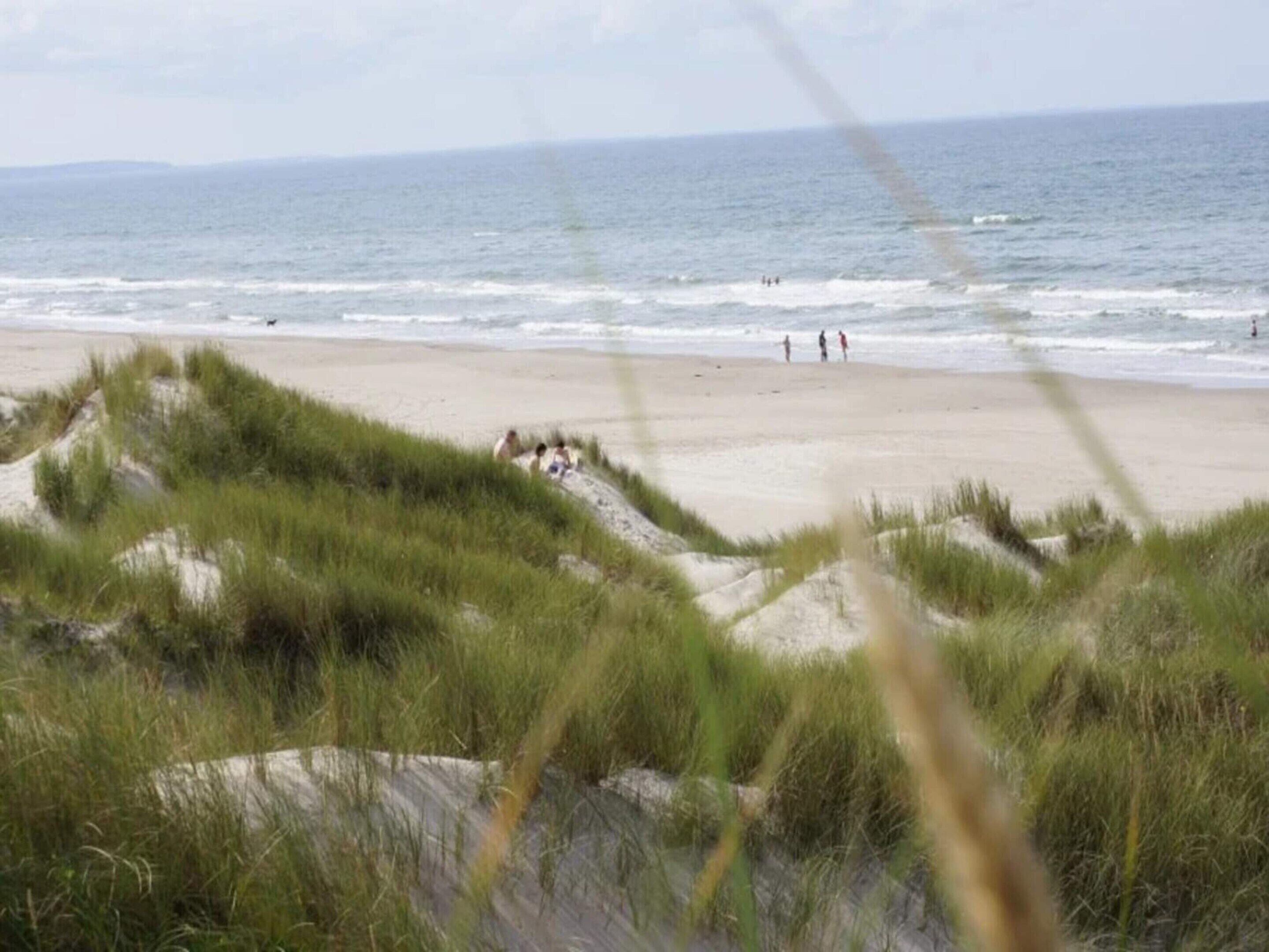 A beach with sand dunes and the ocean in the background.