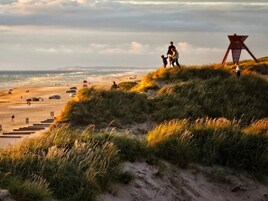 A beach with dunes and a lifeguard tower.