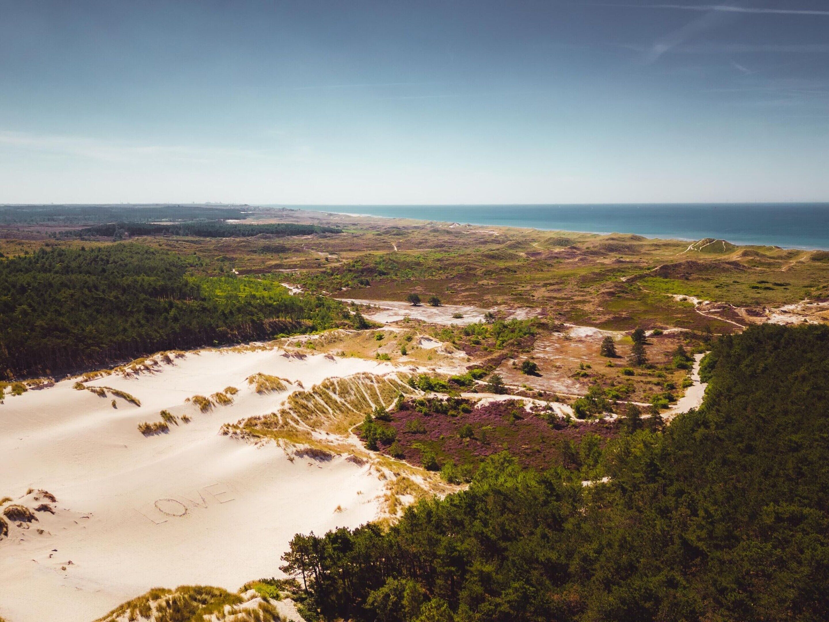A coastal landscape with sandy areas, dense forests, and a clear view of the ocean.