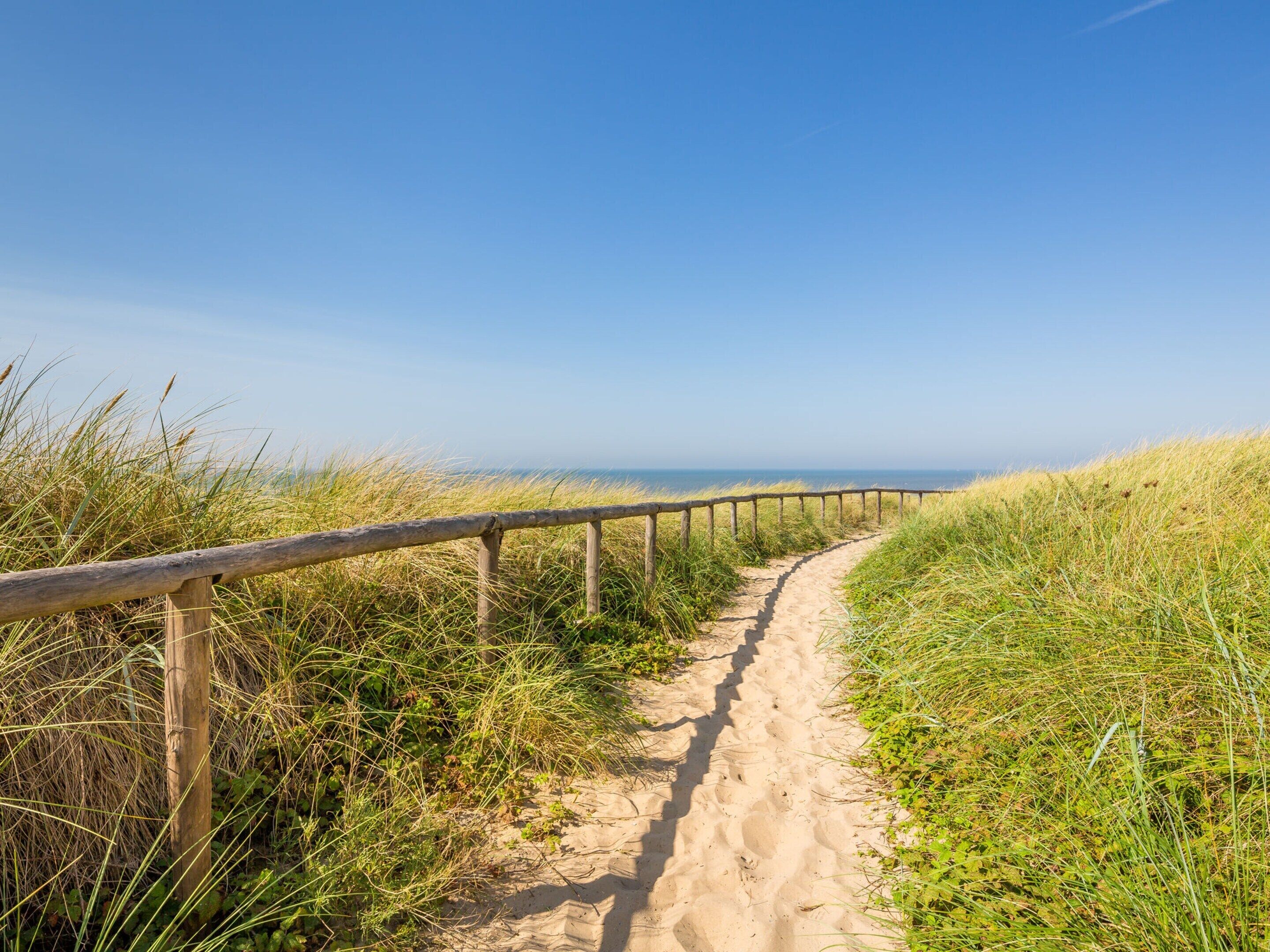 Apartemen | Pemandangan dari properti