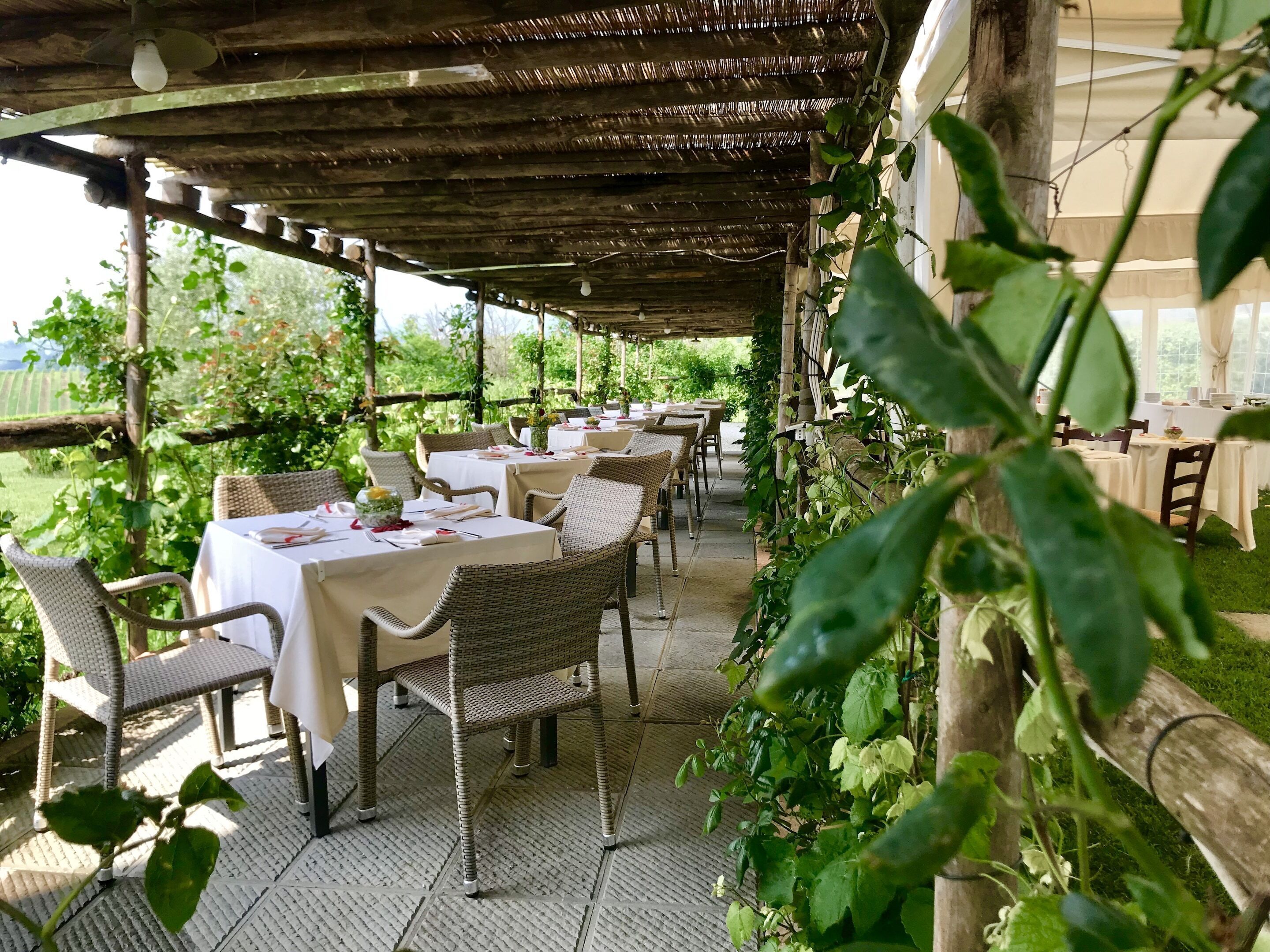 Un espace de restauration en plein air, avec des chaises et des tables en osier, abrité par une pergola et entouré de verdure.