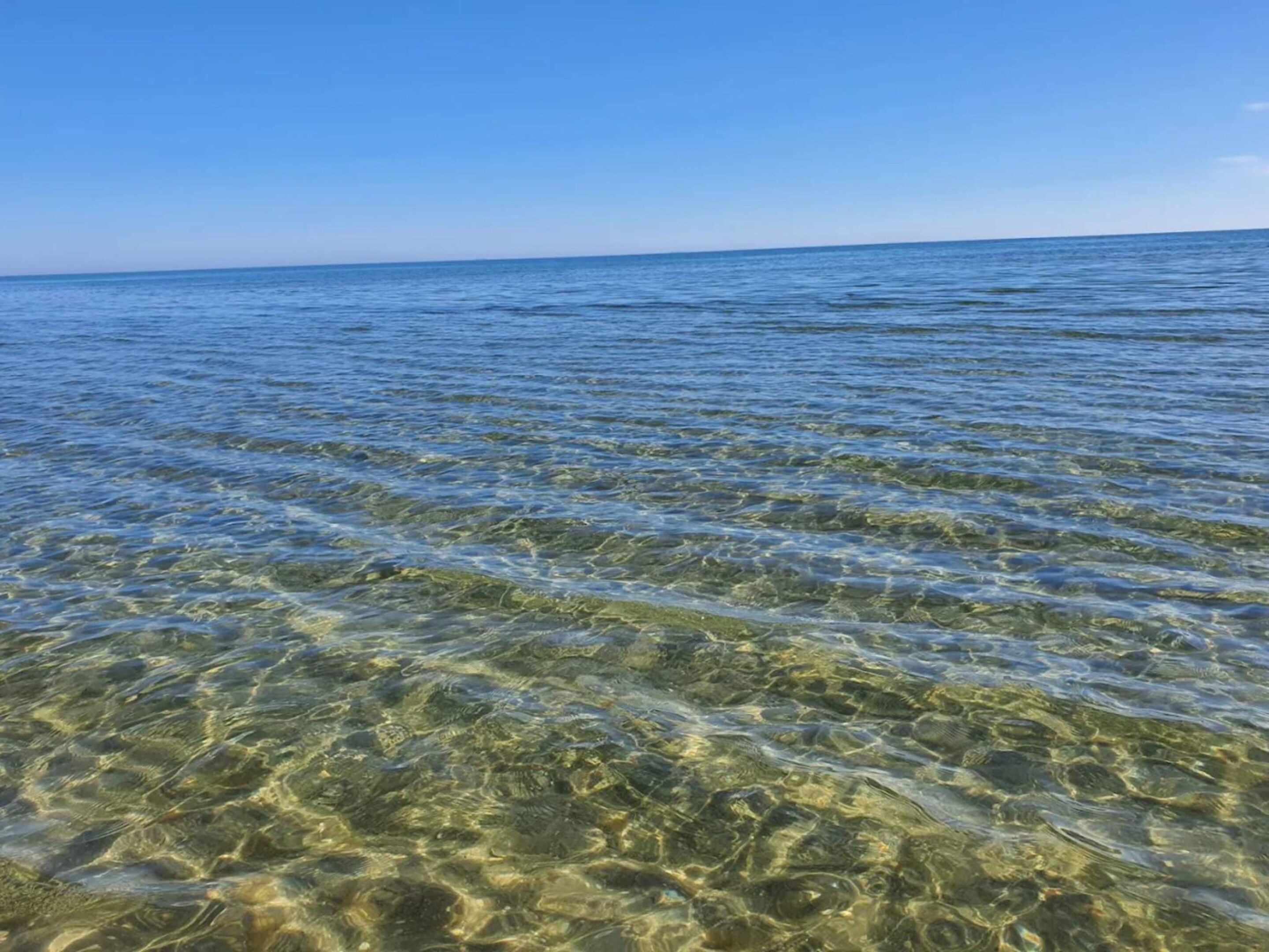 On peut clairement voir une mer calme, avec des rochers sous-marins visibles et une eau limpide.