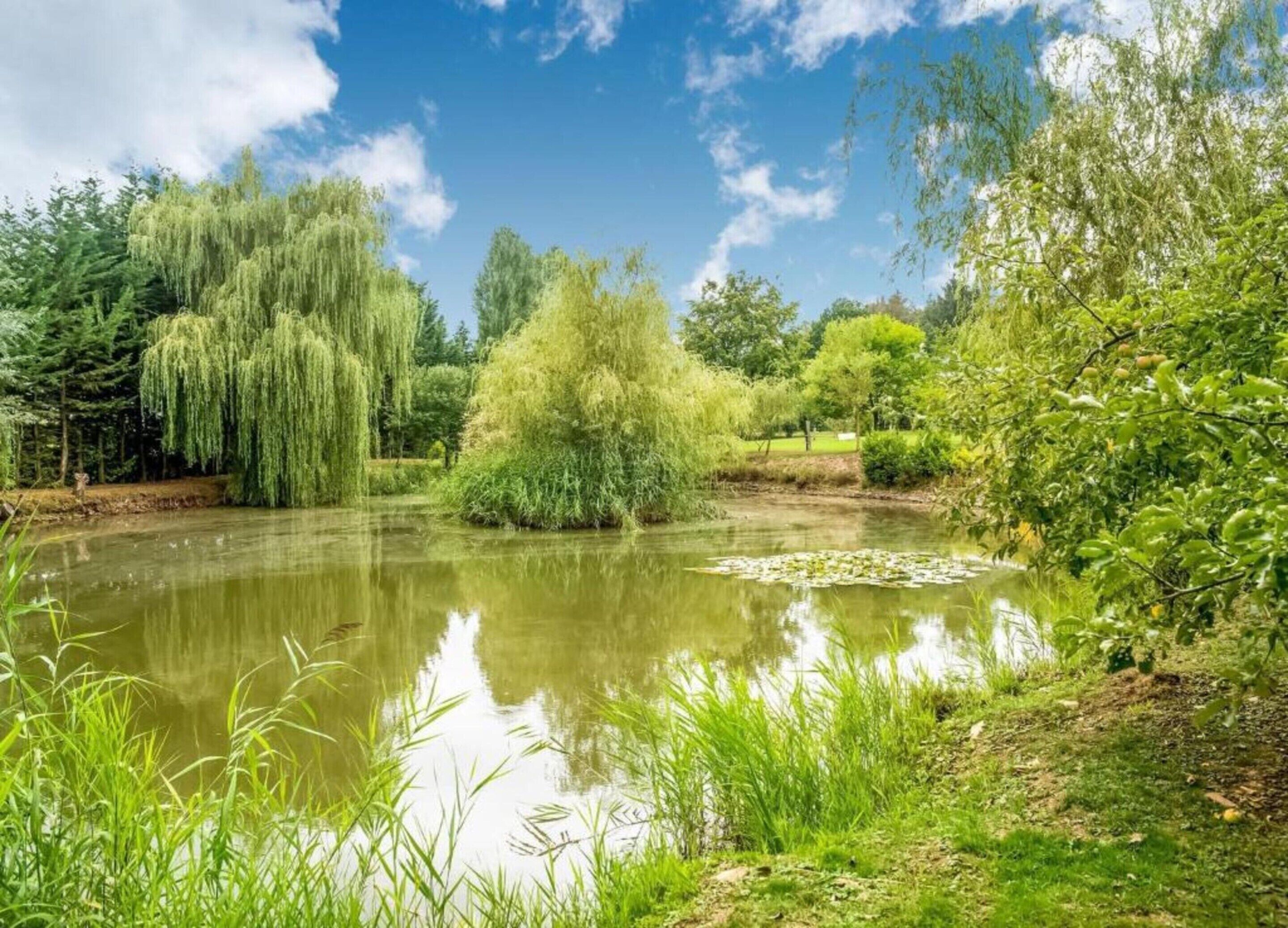 Um lago tranquilo rodeado por vegetação exuberante e árvores.
