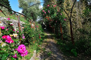 Garden - Rustic Elegance Near Florence (Rignano sull'Arno)