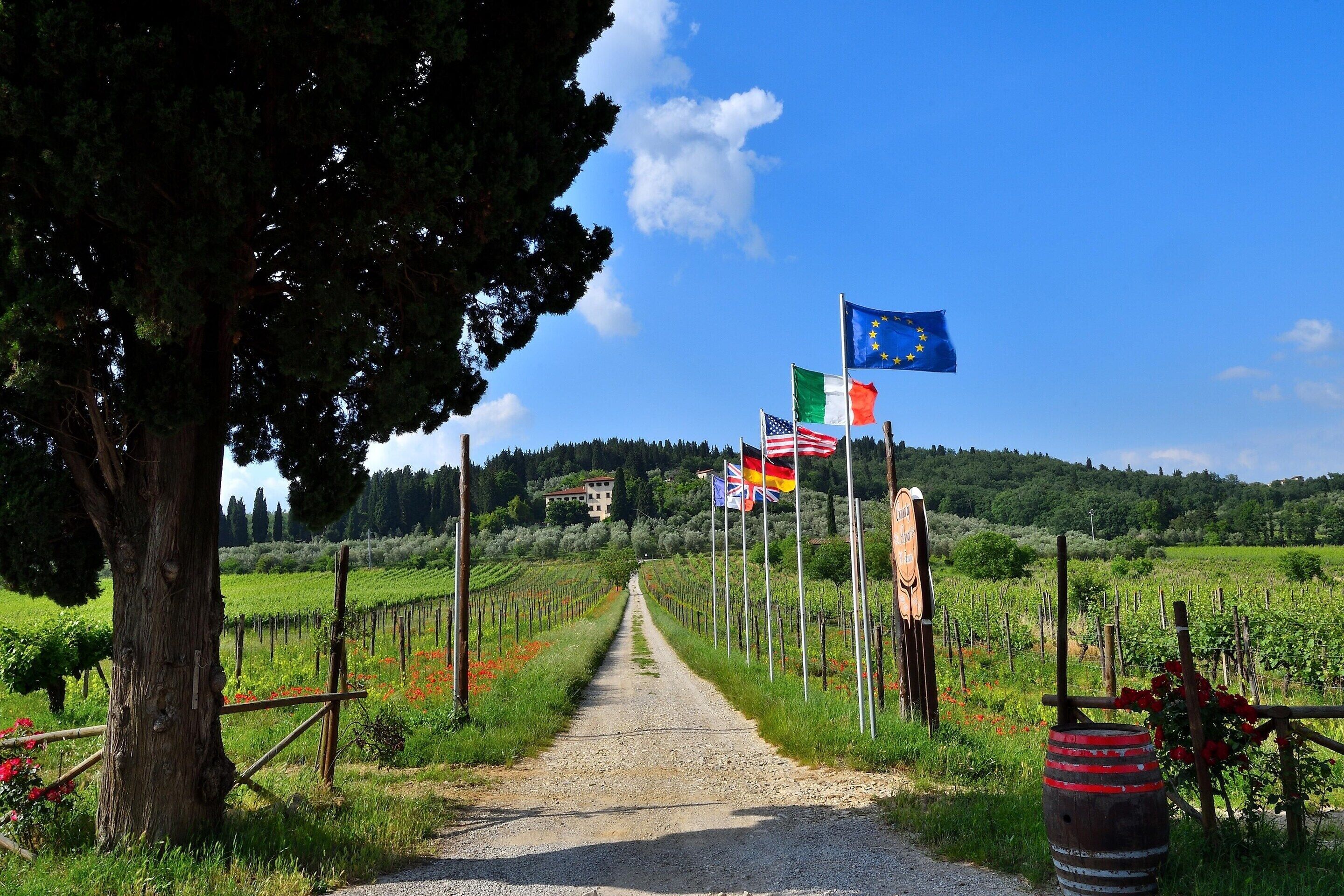 Une route de campagne bordée de vignes et ornée de drapeaux de l’Union européenne, de l’Italie et des États-Unis.