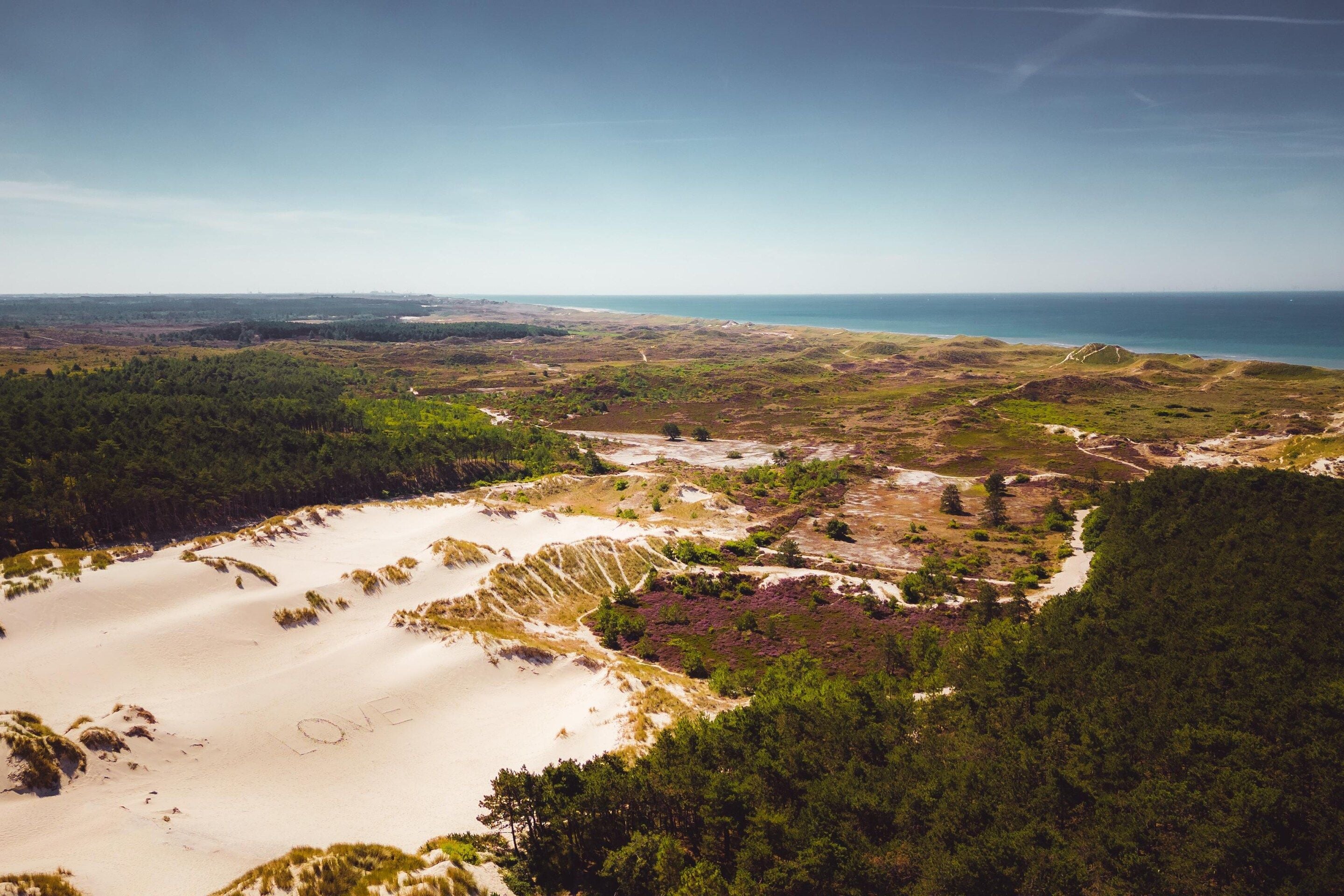 Paesaggio costiero con zone sabbiose, fitte foreste e vista aperta sull'oceano.