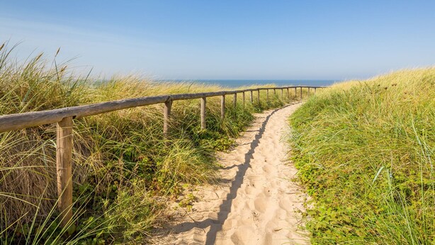 Ein sandiger Pfad mit Holzwegen, umgeben von Gras und der zu einem Strand führt.