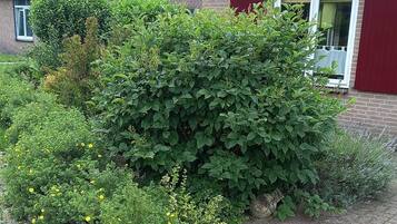 Bungalow | Außenbereich