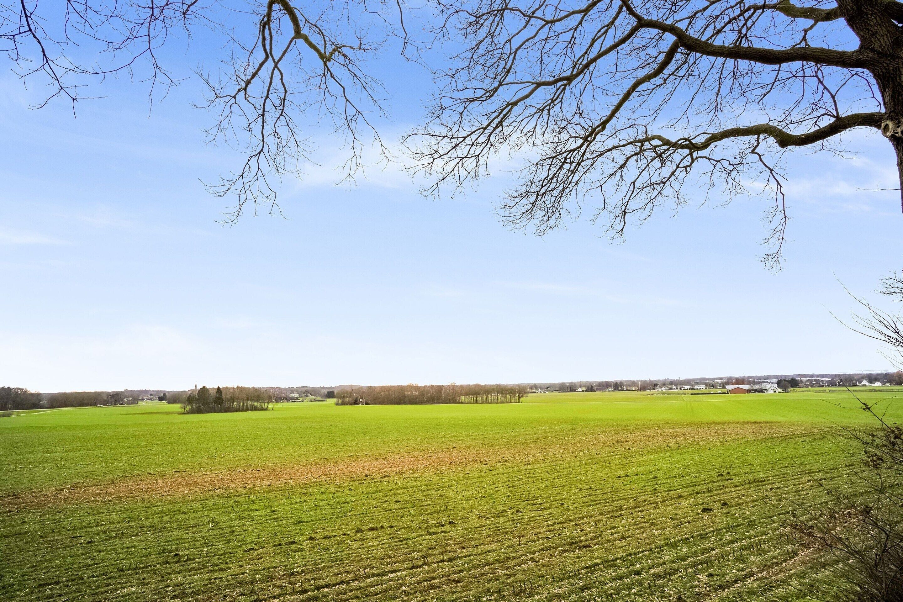 Landskab med åbent mark, et træ i forgrunden og et fjerntliggende syn af huse og træer under en klar himmel.