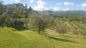 A rural landscape with a large building on a hill, surrounded by trees and open fields. - Apartment With Pool, Rignano (Rignano sull'Arno)