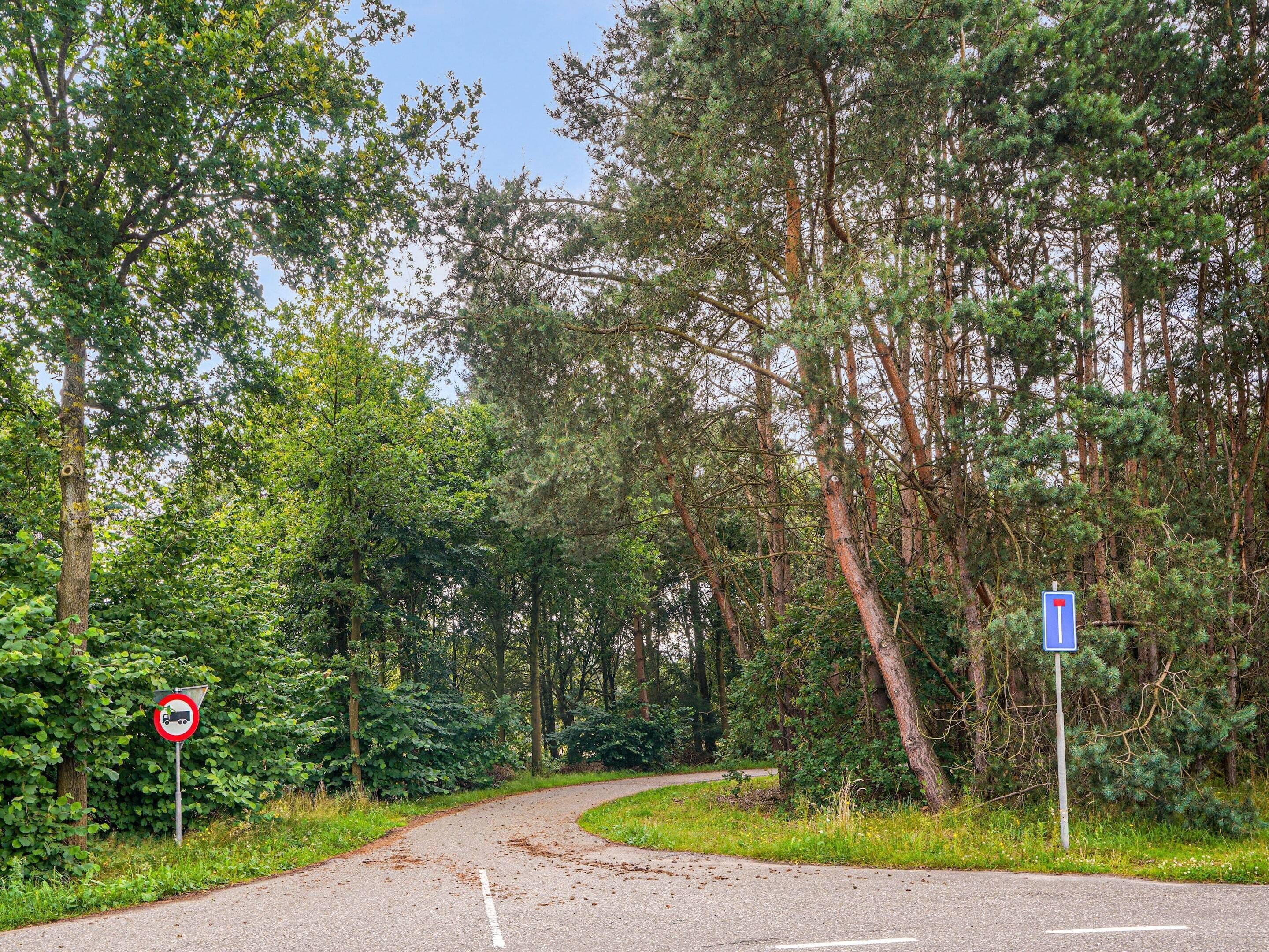 A winding road through a forested area with a no-truck sign and a blue directional sign.
