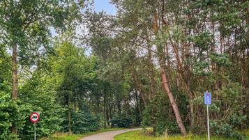 A winding road through a forested area with a no-truck sign and a blue directional sign.