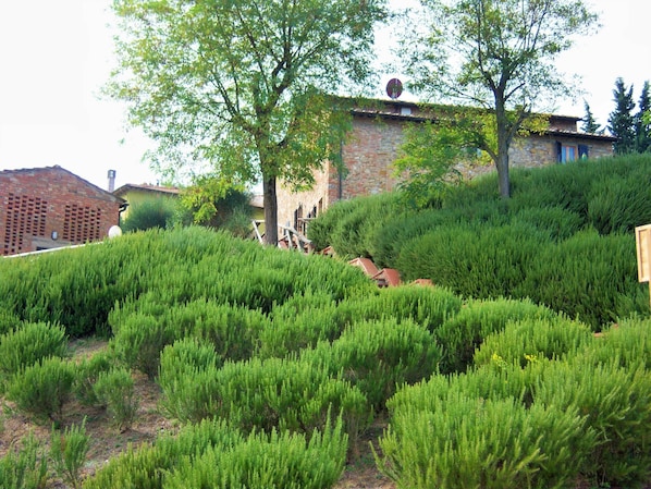 A rustic building with a stone facade, surrounded by lush greenery and trees.