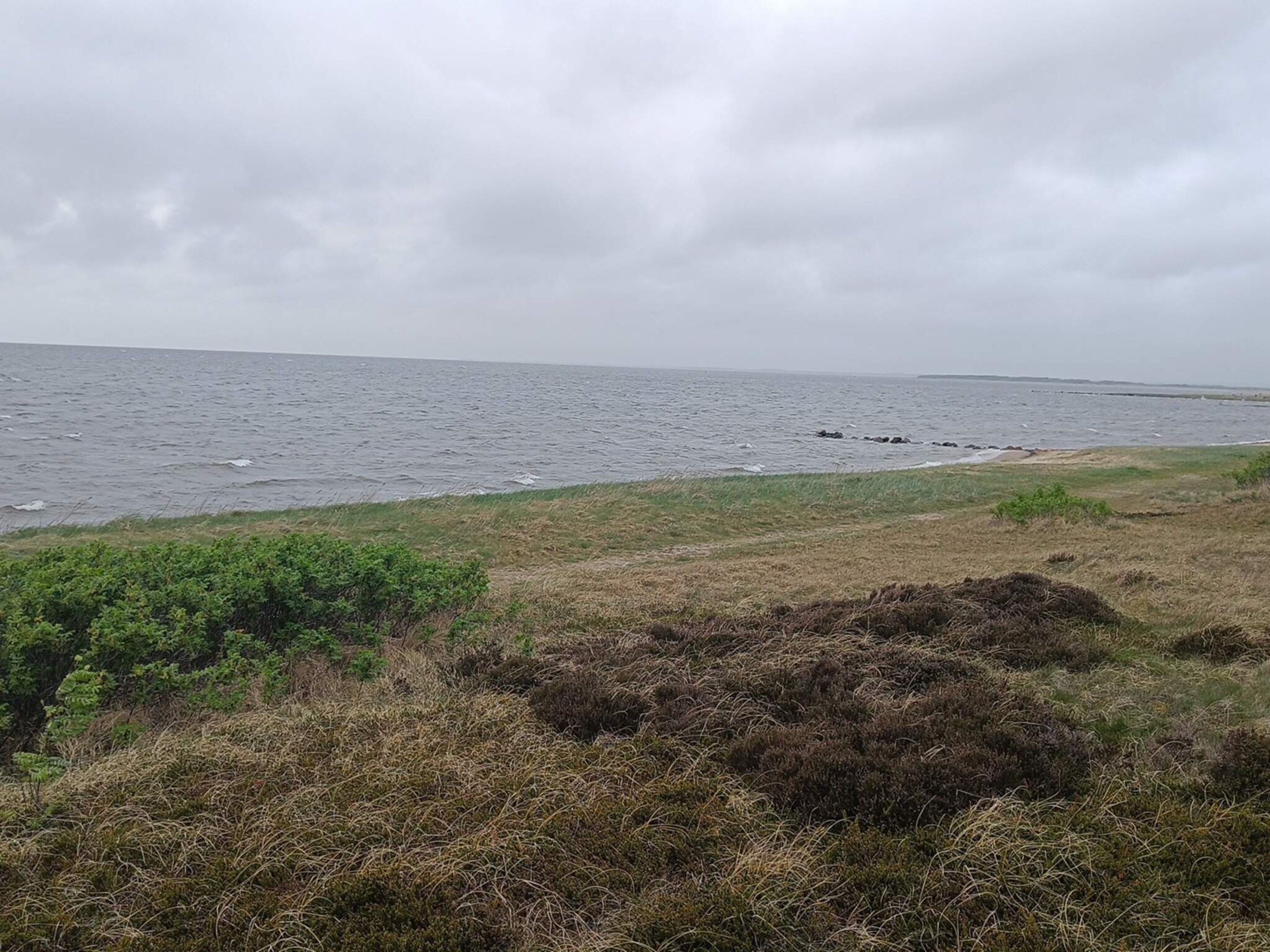 A coastal landscape with a grassy foreground and a view of the sea.