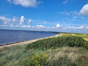 A coastal landscape with a sandy beach, grassy dunes, and a clear blue sky. - Holiday Home in Tarm (Tarm)