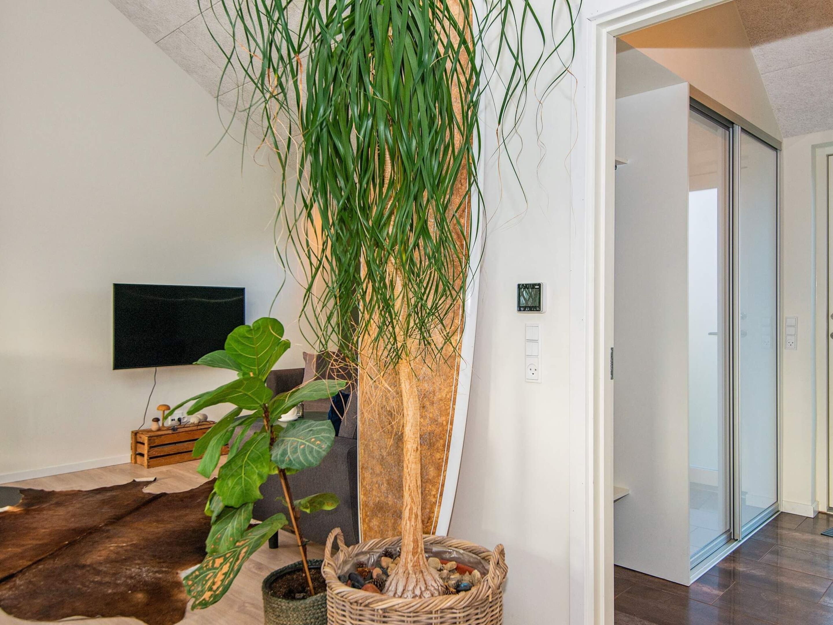 Casa | Parte interna