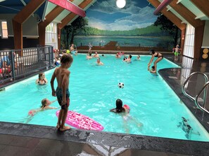 House | Pool | Outdoor pool - Chalet in Voorthuizen With Indoor Pool (Voorthuizen)