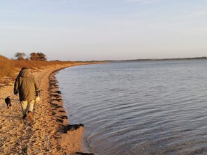 A person walking along a sandy beach with a dog, a calm body of water, and a distant tree line. - 6 Person Holiday Home in Roslev (Roslev)