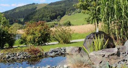 Lovely Apartment with Balcony in Willingen near Ski Lift