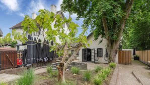 Une cour avec un bâtiment blanc, un arbre et un chemin en briques.