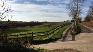 Une route de campagne avec un panneau bleu indiquant une piste cyclable, un cheval dans un champ et une clôture le long de la route.