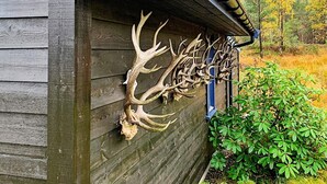 A wooden cabin with a mounted deer head and antlers on the exterior wall. - 6 Person Holiday Home in Ostereidet (Alver)