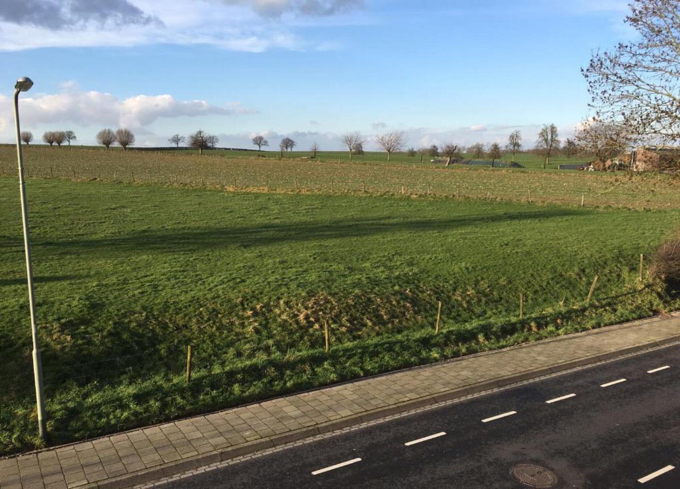 A rural landscape with a paved road, a lamp post, and a field.