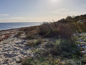 A beach with sand, seaweed, and sparse vegetation. - 11 Person Holiday Home in Knebel (Knebel)