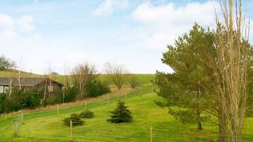 A rural landscape with a grassy field, a wooden fence, and a building in the background.