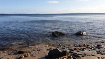 A beach with clear water, rocks, and seaweed.