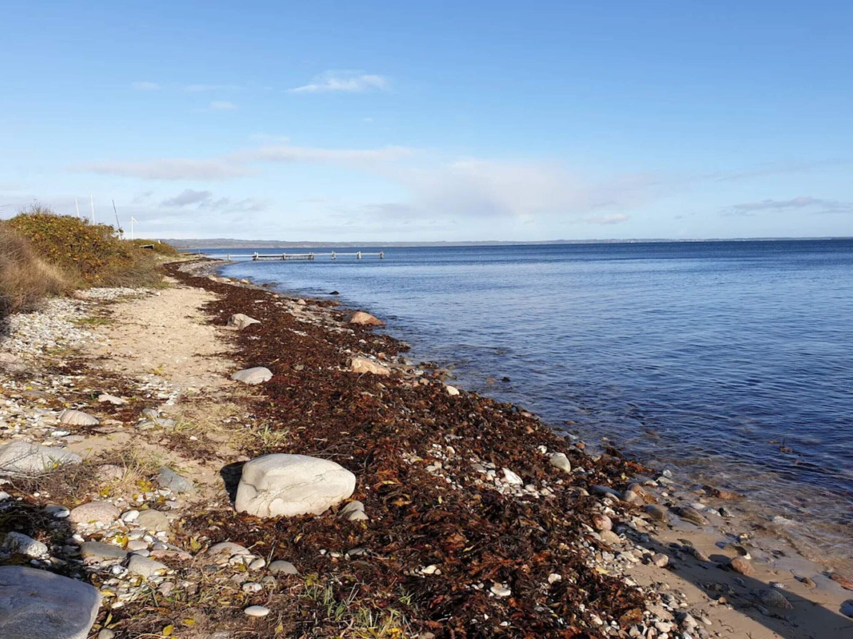 A beach with seaweed-covered rocks and a clear view of the sea.