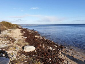 A beach with seaweed-covered rocks and a clear view of the sea. - 11 Person Holiday Home in Knebel (Knebel)
