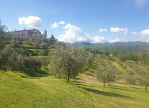 House | View from property - Tuscany Bliss: Garden Retreat (San Casciano in Val di Pesa)