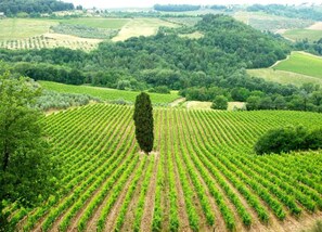 Casa | Vista dalla struttura