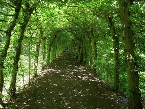 A forest path lined with trees. - Cozy Holiday Home in Polleur With Sauna (Theux)