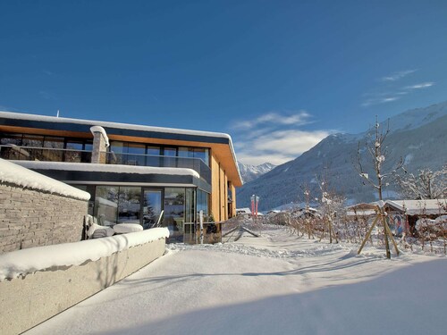 Apartment in Wildkogel Near Ski Lift