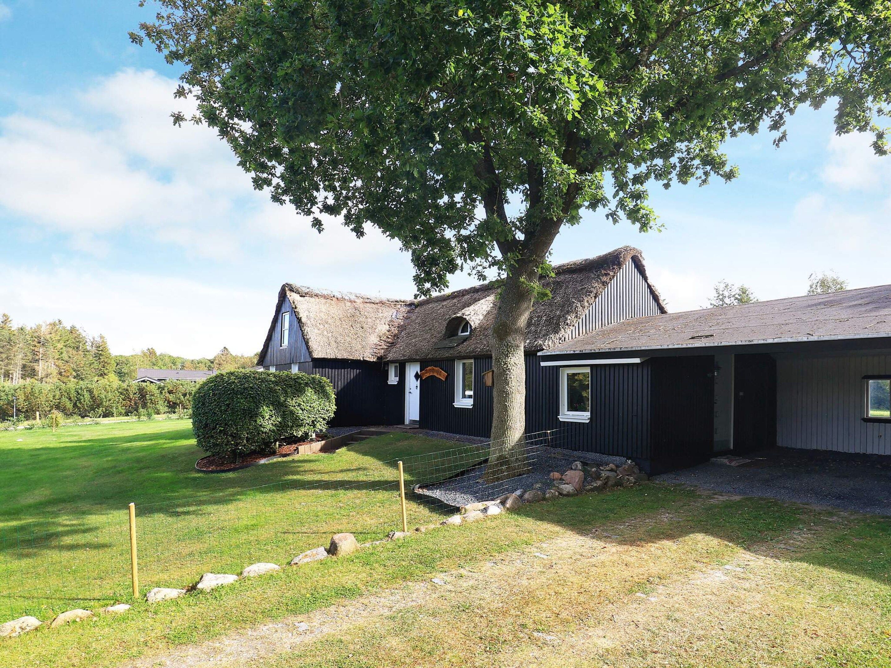 A house with a thatched roof, a large tree in front, and a well-maintained lawn.