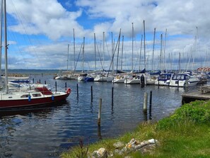 A marina with multiple sailboats docked, calm water, and a grassy shoreline.