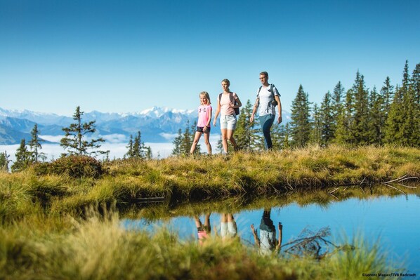 Una familia caminando sobre un campo cubierto de hierba, con una cadena montañosa al fondo.