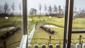 A view through a window of a grassy area with a fence, a fallen tree, and a building in the background. - Superb Holiday Home on a Mini Campsite Near the Beach (Vrouwenpolder)