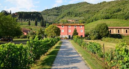 Lovely apartment in farmhouse near Lucca and the sea