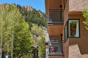 Exterior - Aspen Mtn View. Convenient To Mtn & Town. Parking/Wood FP/Balcony/W&D (Aspen)