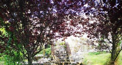 Lovely 3-bed House at Clashganny Mill, Borris