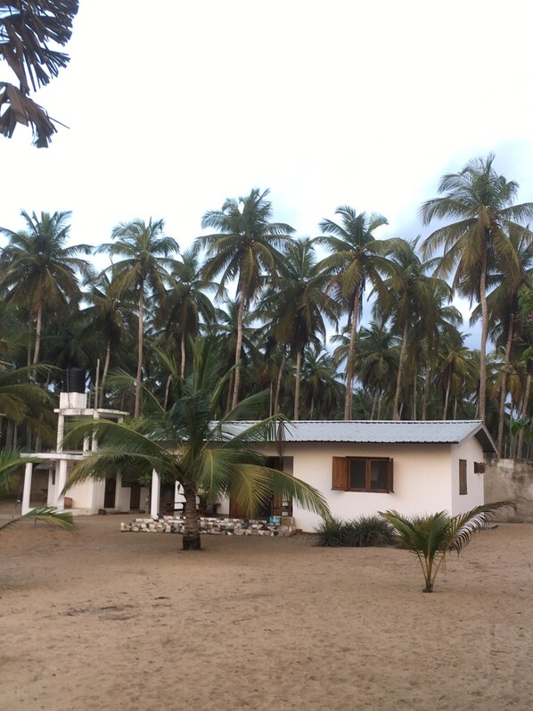 A small white building with a tiled roof, surrounded by palm trees.