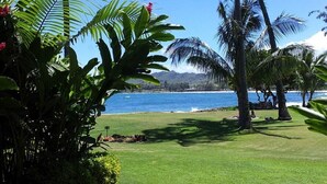 A tropical beach view with palm trees and a grassy area. - Lae Nani 312, Oceanfront, AC,Tropical Bliss, Steps to Beach and Town (Kapaa)