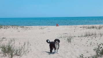 Plage, chaises longues, serviettes de plage