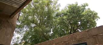 Beautiful property in the center of town