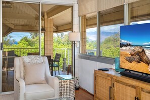 Flat-screen TV, DVD player