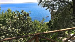 A coastal view with a wooden fence, dense vegetation, and a boat on the water. - AMORE RENTALS - Maison Don Rafe’ con Vista Mare e Solarium (Campania)
