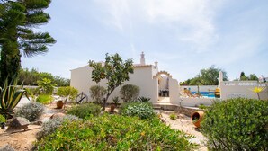 Un bâtiment blanc doté d’un patio, entouré de diverses plantes et d’une piscine.